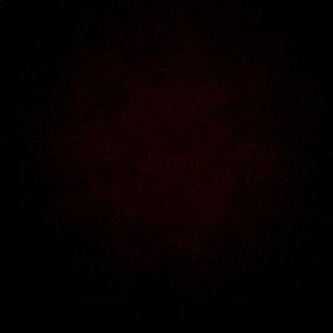 Meet your Posher, Nina